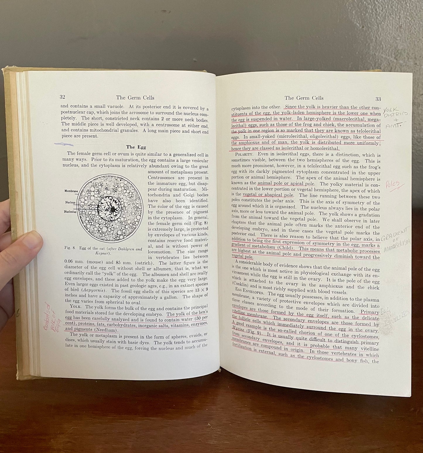 Vertebrate Embryology by Waldo Shumway