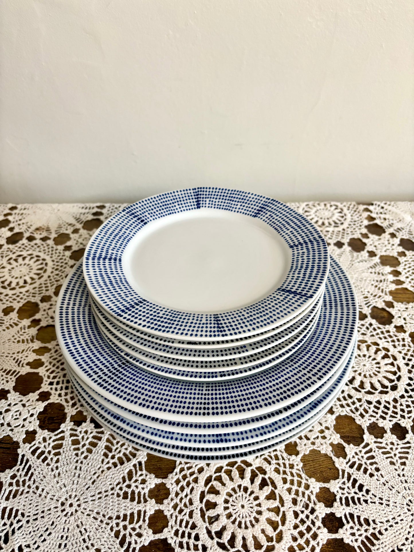 West Elm Dotted Salad & Dinner Plates