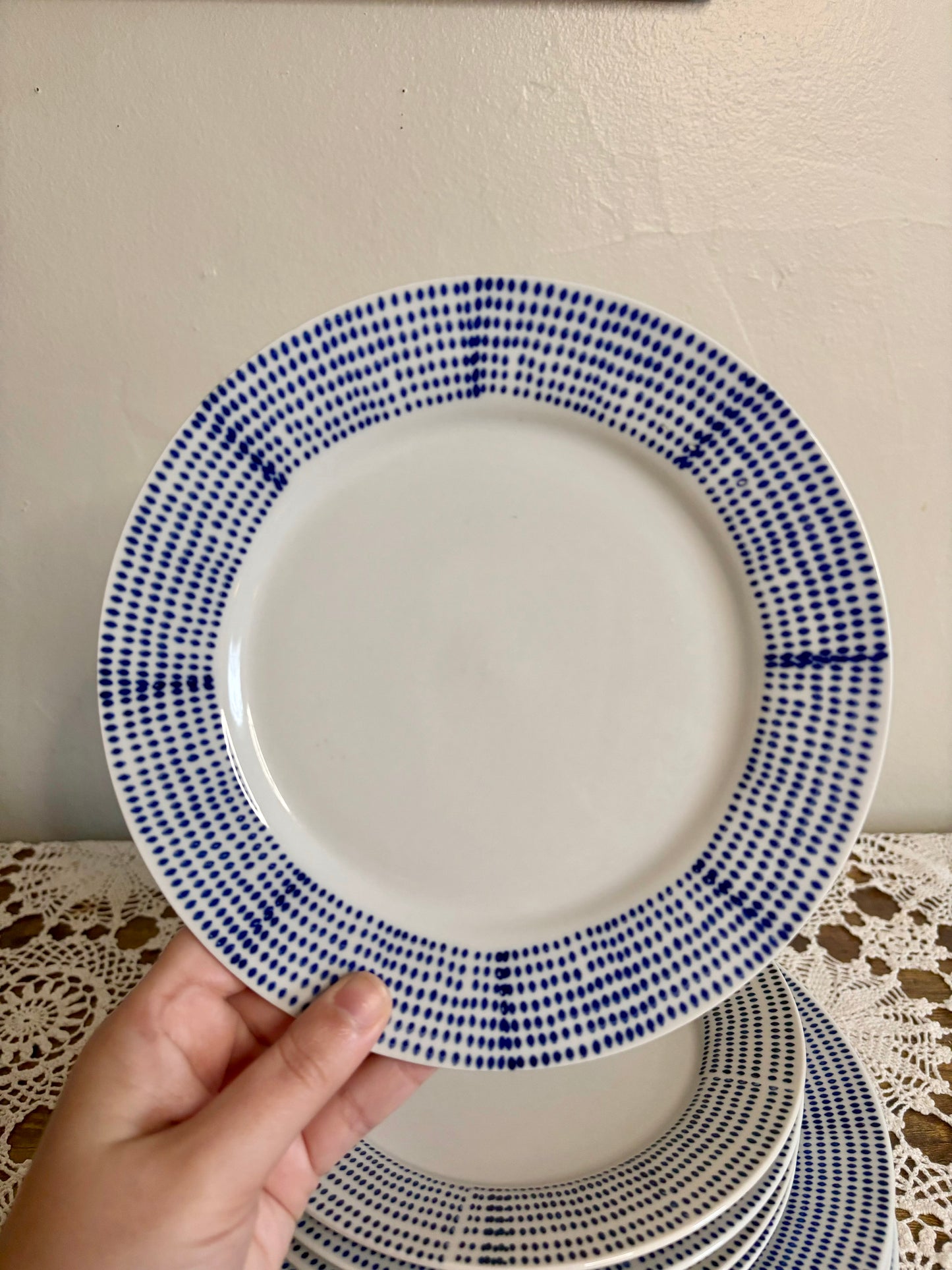 West Elm Dotted Salad & Dinner Plates