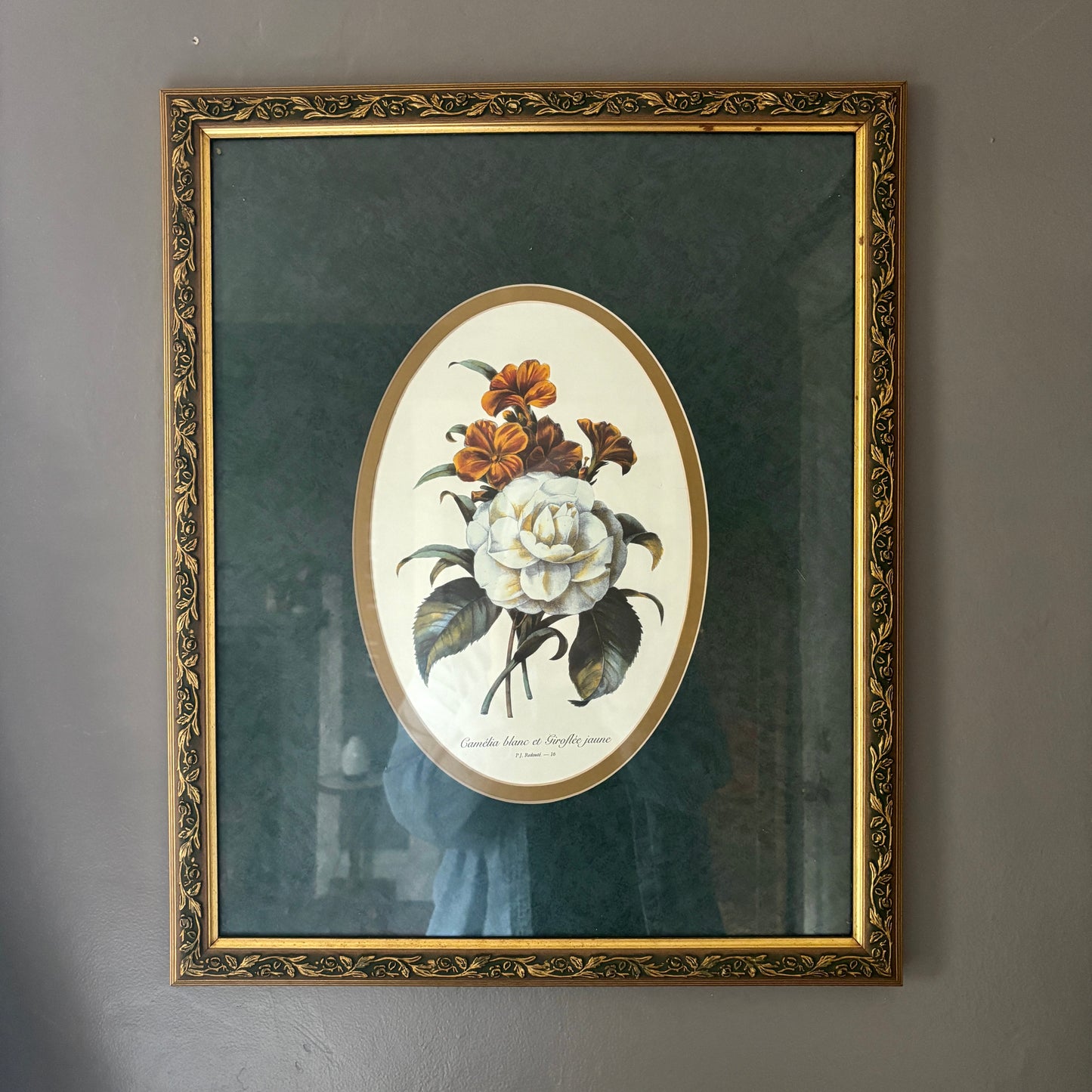 Vintage Framed Camelia Print