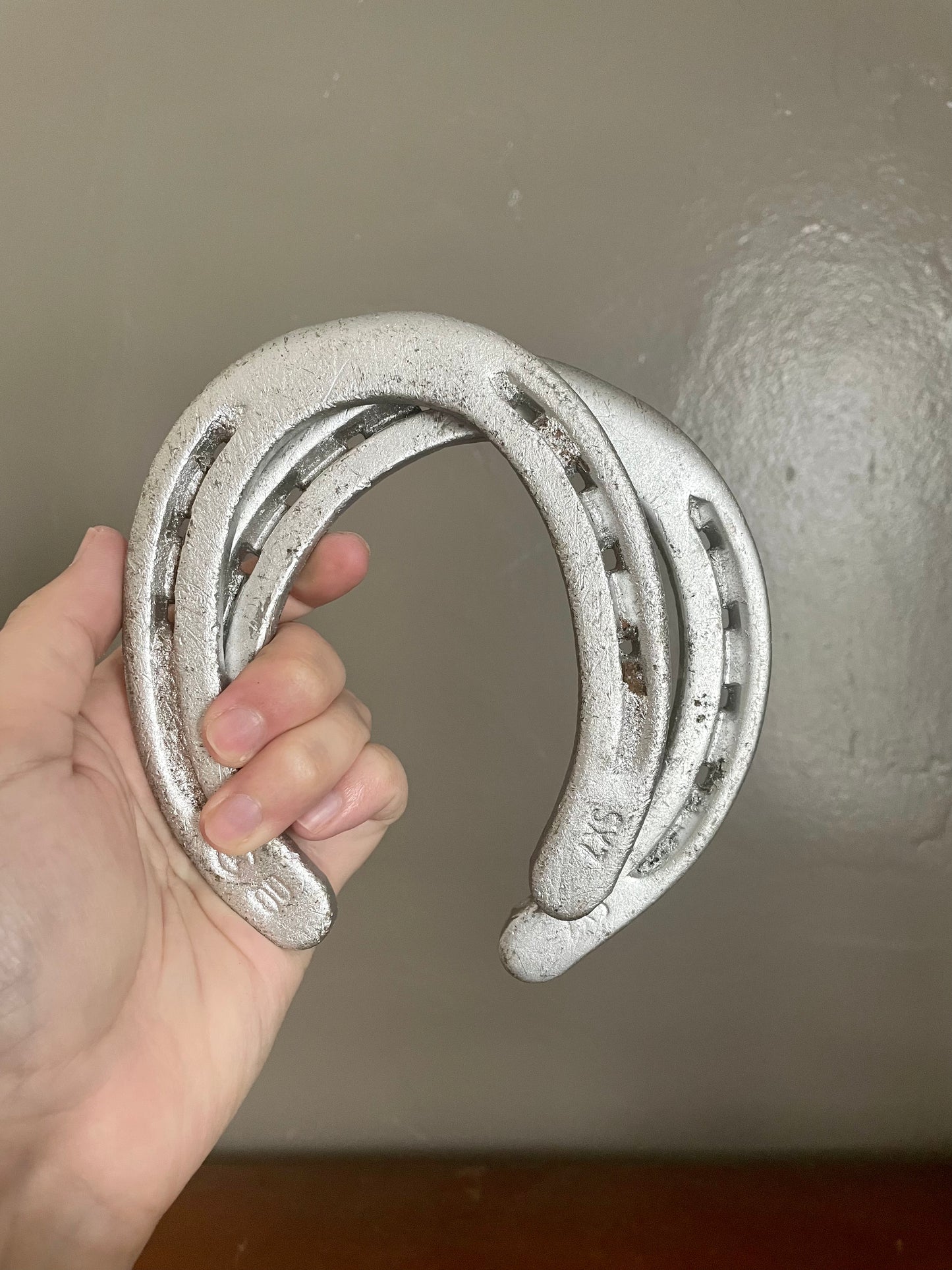 Silver Horseshoes