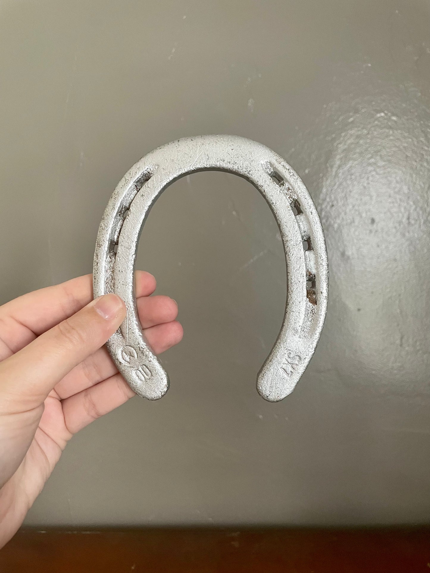 Silver Horseshoes