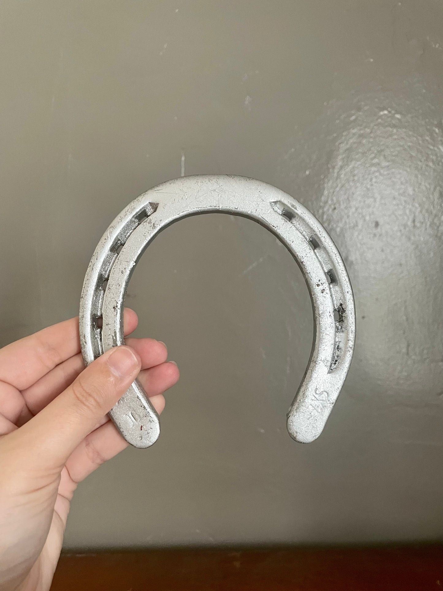 Silver Horseshoes