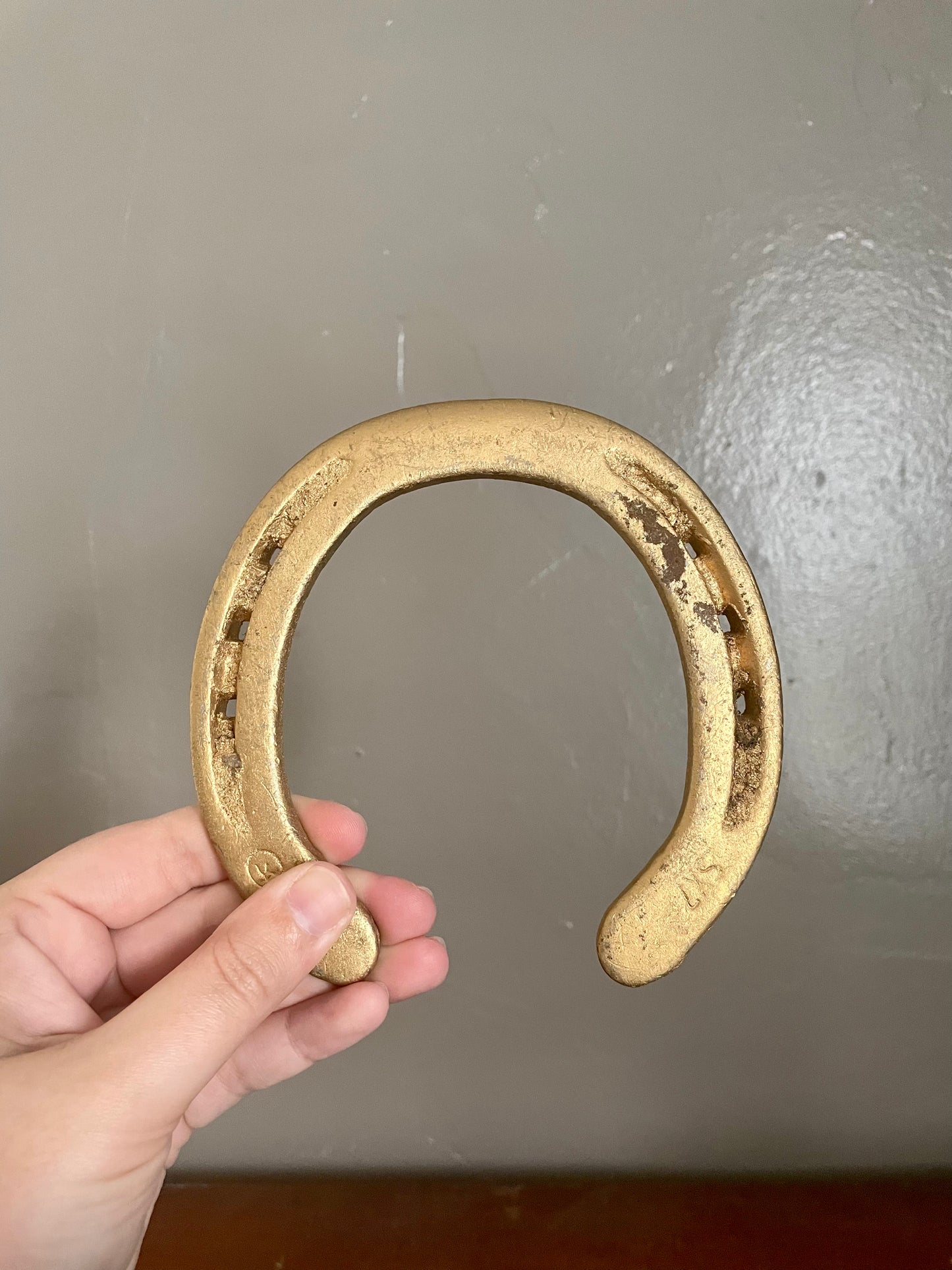 Gold Horseshoes