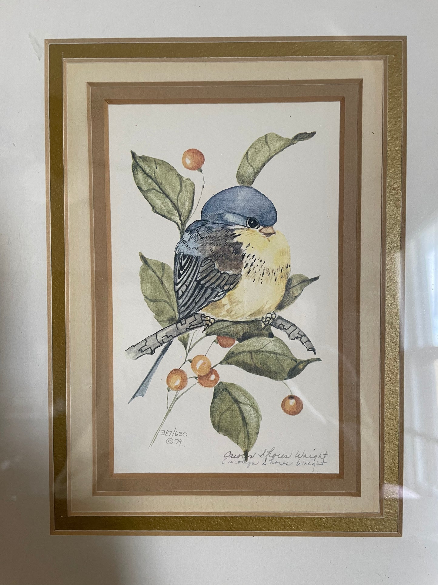 Limited Edition Framed Bird Prints by Carolyn Shores Wright