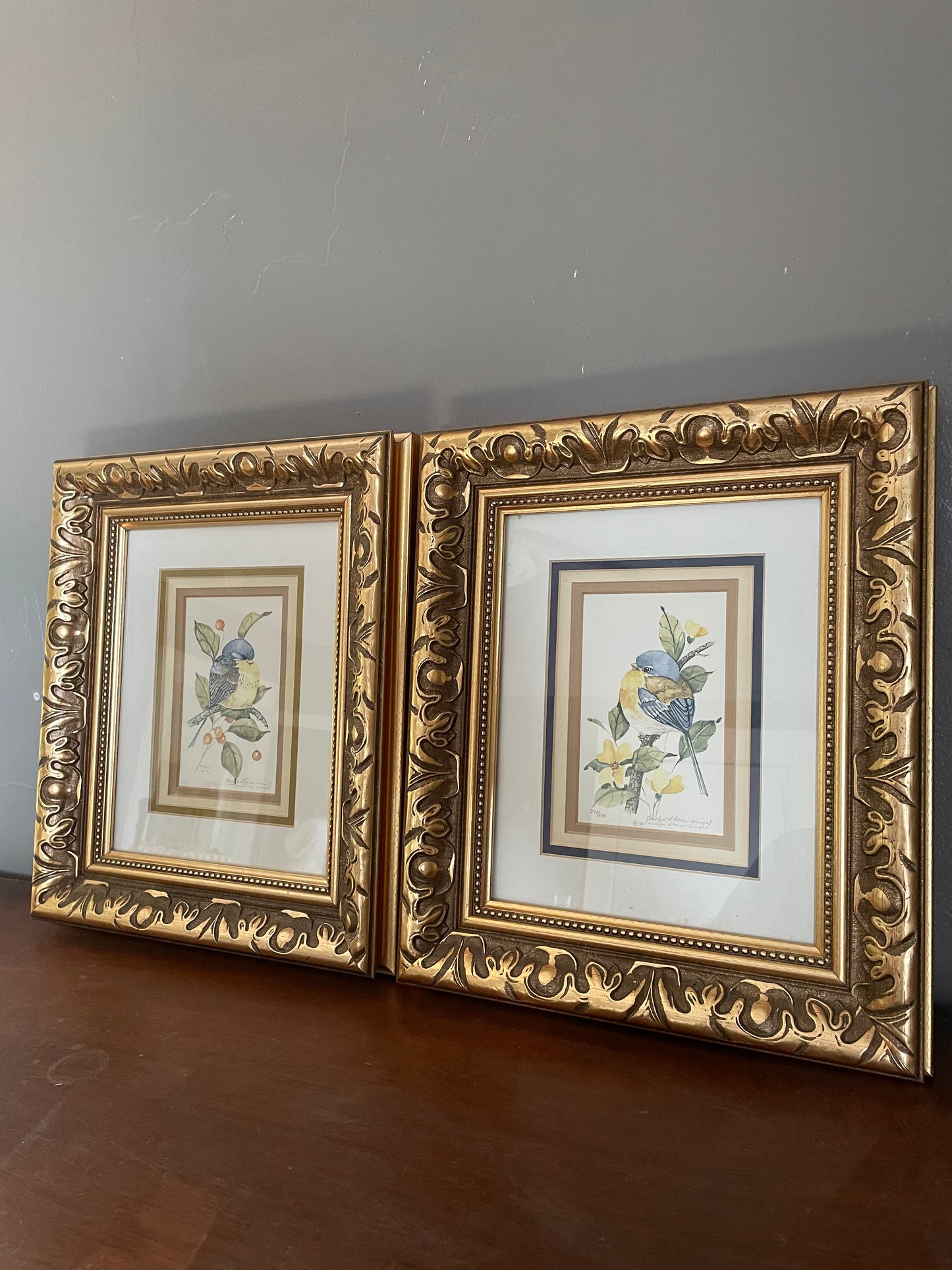 Limited Edition Framed Bird Prints by Carolyn Shores Wright