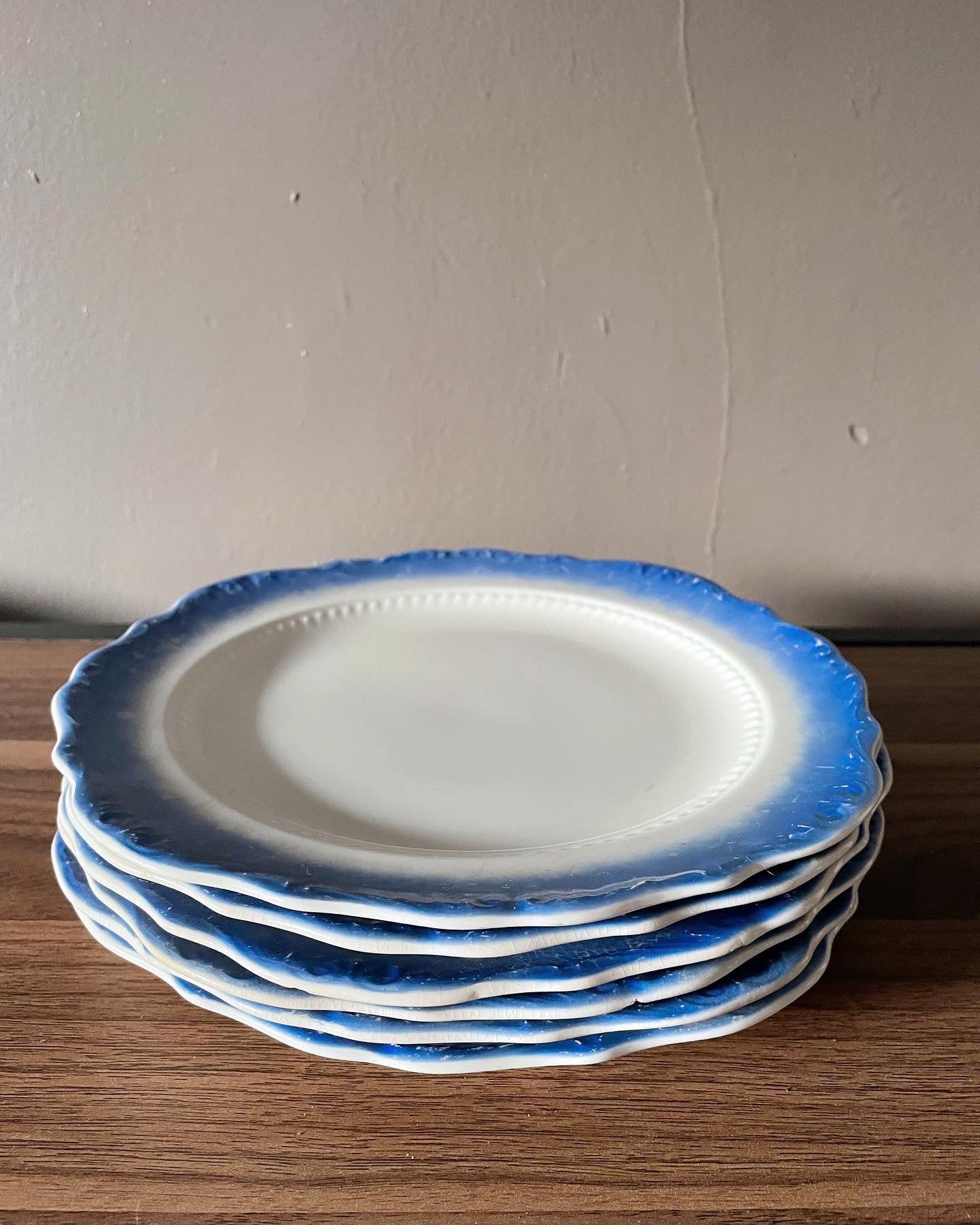 Vintage Ivory & Blue Dinner Plates