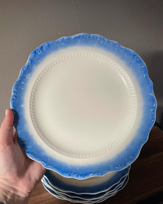 Vintage Ivory & Blue Dinner Plates